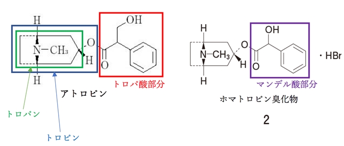 コカインの化学構造を基に創出された局所麻酔薬 104回薬剤師国家試験問107